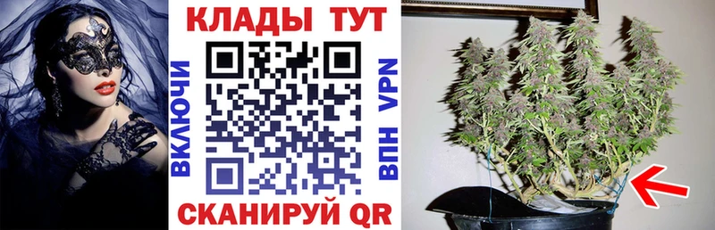 Виды наркоты Елизово МЕГА   A PVP  ГАШ  Бошки Шишки  Меф  Кокаин 