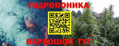 прущие грибы Берёзовский