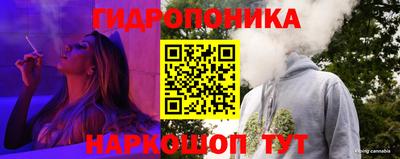 бошки Бийск