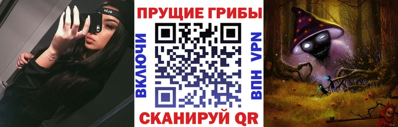 Псилоцибиновые грибы Magic Shrooms  kraken ONION  Елизово  купить наркотики цена 