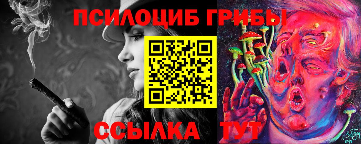Галлюциногенные грибы прущие грибы  Вход с VPN  Елизово 