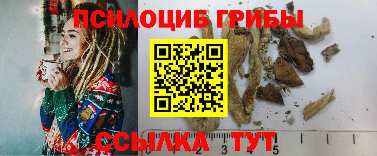 Псилоцибиновые грибы GOLDEN TEACHER Елизово