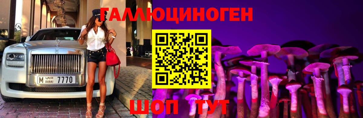 Псилоцибиновые грибы Psilocybe Елизово